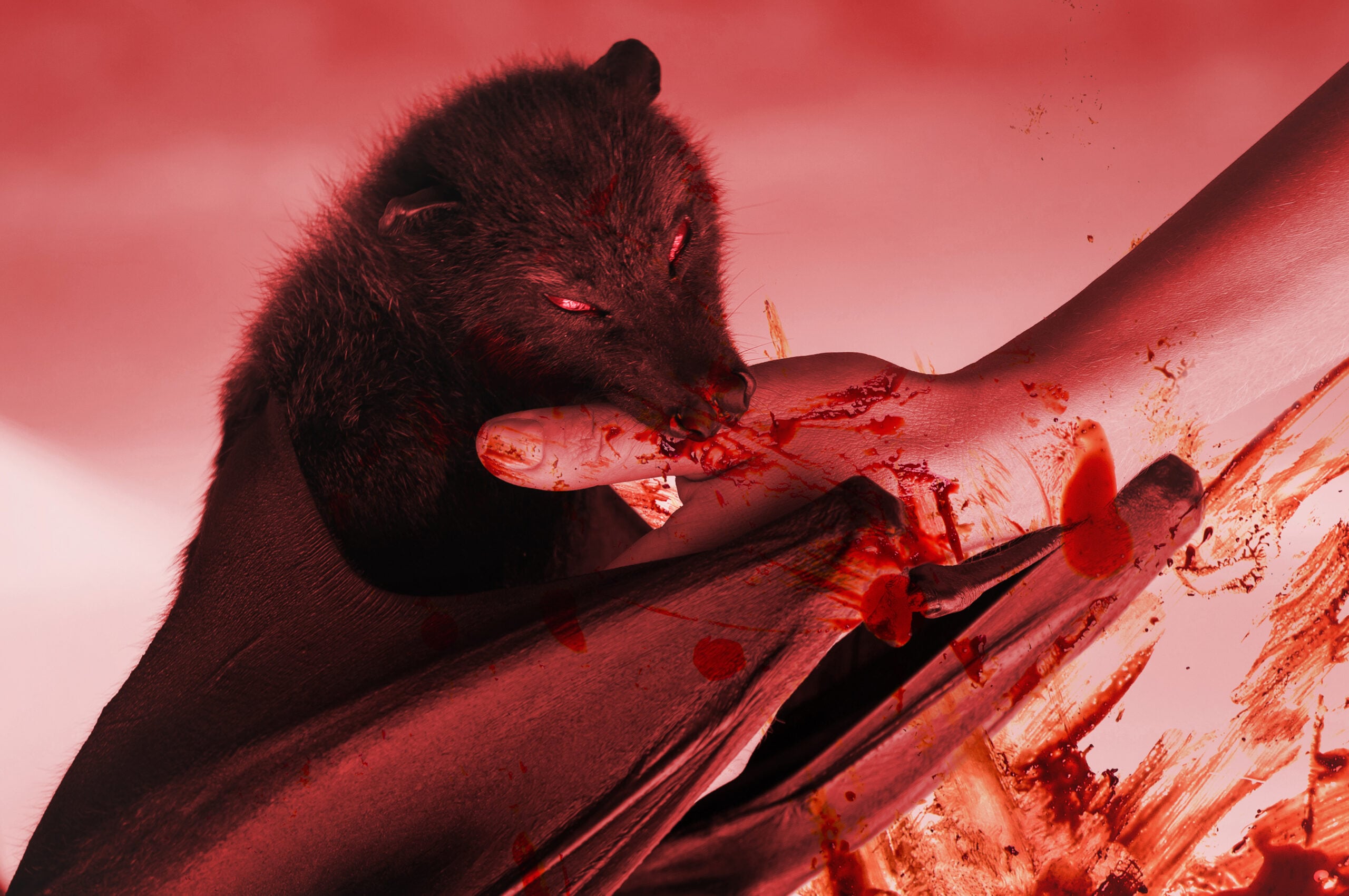 Rabies: First Aid, Disease Control, and Getting the Vaccine - Skills Training College