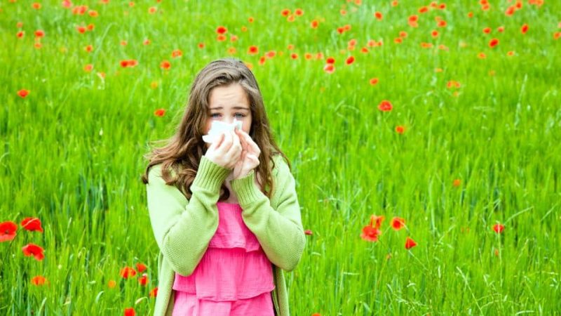 hay fever and allergy relief
