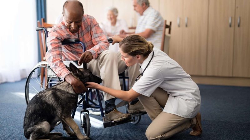 Female doctor kneeling by disabled senior man stroking puppy at retirement home