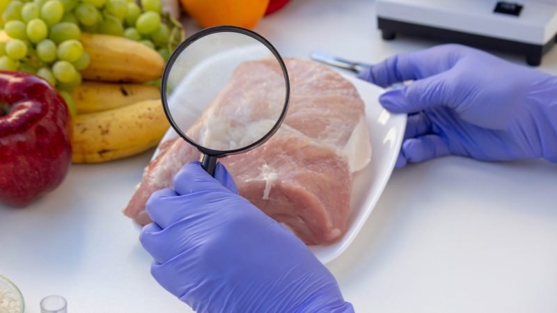 Meat and Food Quality Control Laboratory Testing with a Magnifying Glass. world food safety day